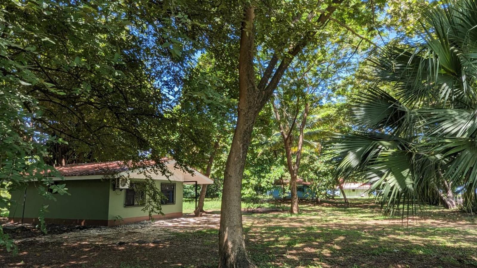Iguana Street Houses Coco Buitenkant foto